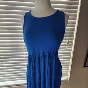 Charming Charlie fit and flare dress